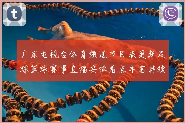 广东电视台体育频道节目表更新足球篮球赛事直播安排看点丰富持续覆盖