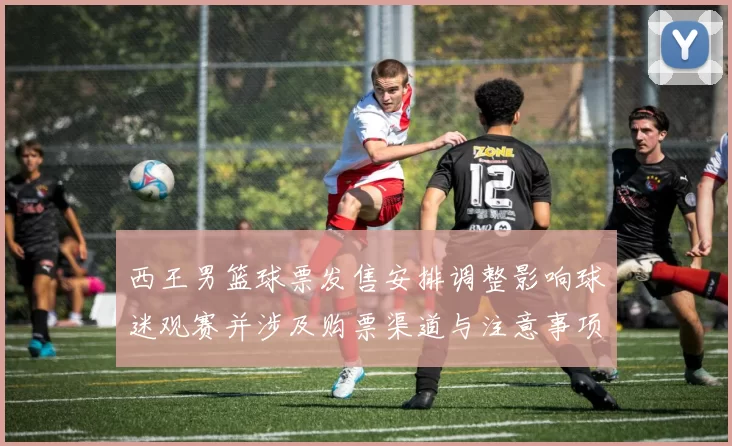 西王男篮球票发售安排调整影响球迷观赛并涉及购票渠道与注意事项