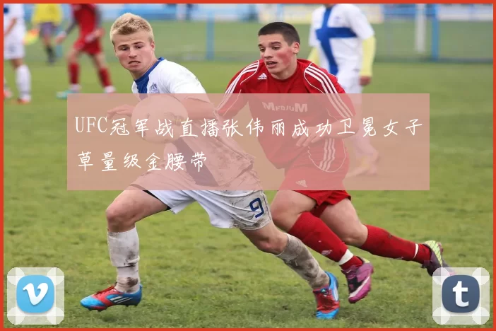 UFC冠军战直播张伟丽成功卫冕女子草量级金腰带